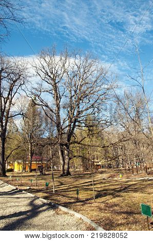 Spring time in Park spring landscape. Reserve in Guzeripl