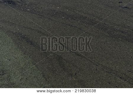 cover the top swamp with green water
