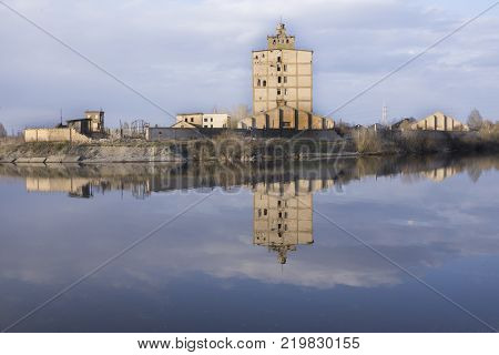 background reflected in the placesplant water reflection