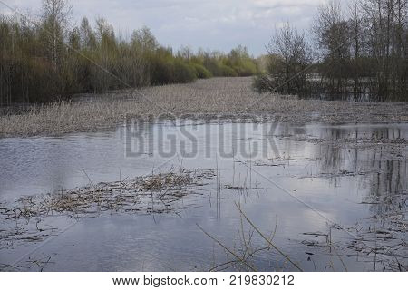 tightened dense Beautiful view of the River a clear day with distance