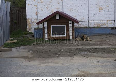 German shepherd resting in its wooden kennel