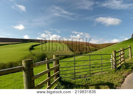 Open expanses of heather and gorse moorland above Doone Valley near Malmsmead, Exmoor, North Devon