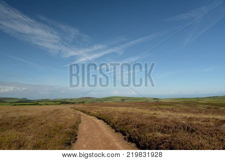 Open expanses of heather and gorse moorland above Doone Valley near Malmsmead, Exmoor, North Devon