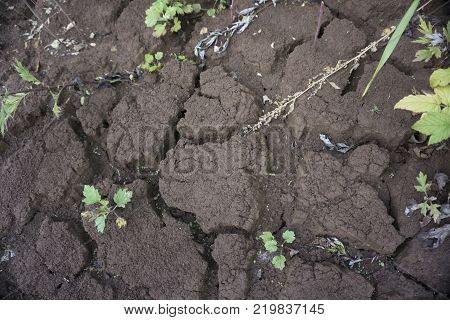 clay cracks of an old earth the soil is poor