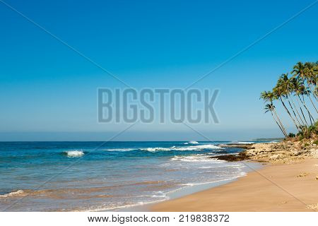 landscape of the coast of the Indian Ocean in Sri Lanka