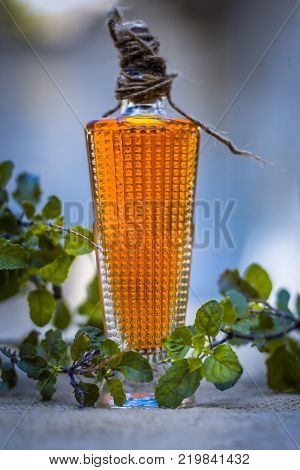 Close Up Of Oil Of Ocimum Tenuiflorum.., Holy Basil In A Transparent Bottle.