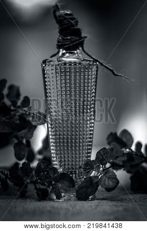Close Up Of Oil Of Ocimum Tenuiflorum.., Holy Basil In A Transparent Bottle.