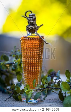 Close up of oil of Ocimum tenuiflorum.. Holy basil in a transparent bottle.