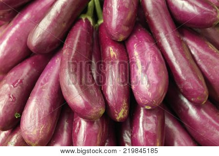 The eggplant is the vegetable culture found 1500 years ago growing in a wild view of territories of present East India.