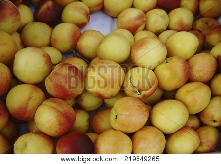 bright nectarines in the market in parallel