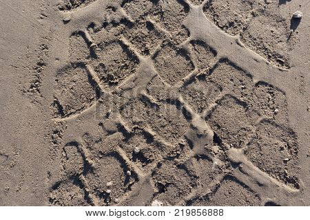 4x4 tiretracks in the sand in green
