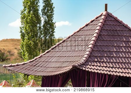 The roof of a house in Chinese style .