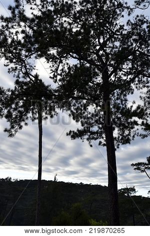 Baguio City, Philippines, December 13, 2017, Baguio City Sightseeing, The Summer Capital Of Philippi