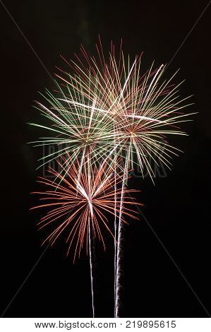 Fireworks like flowers isolated on black background