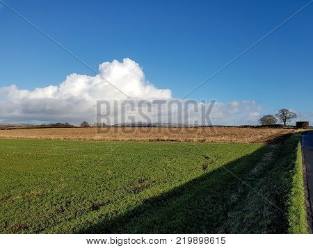 Sun In Winter