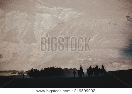 Silhouette image of camels caravan in the Hunder desert Nubra valley India