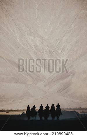Silhouette image of camels caravan in the Hunder desert Nubra valley India