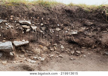 Ranker Soil With Large Granite Fragments