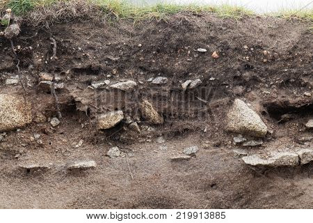 Ranker Soil With Large Granite Fragments