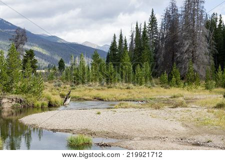 Nature Scenery in the Rocky Mountains of Colorado - Colorado River Headwaters