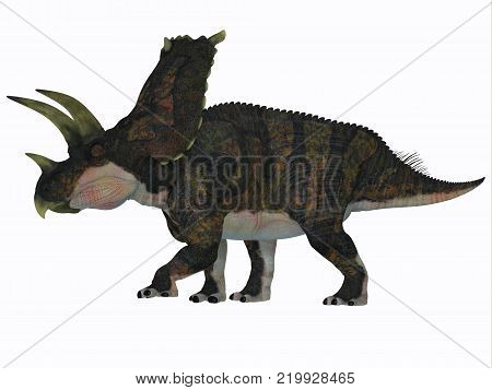 Bravoceratops Dinosaur Side Profile 3D illustration - Bravoceratops was a herbivorous ceratopsian dinosaur that lived in Texas, USA in the Cretaceous period.