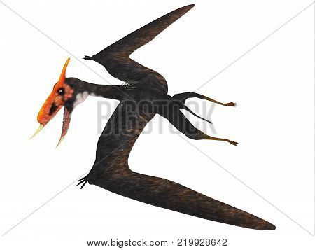 Dsungaripterus Reptile Side Profile 3D illustration - This carnivorous pterosaur lived in China in the Cretaceous Period and preyed on shellfish.