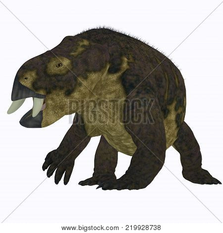 Placerias Dinosaur on White 3D illustration - Placerias was a herbivorous dicynodont dinosaur that lived in Arizona, USA in the Triassic Period.