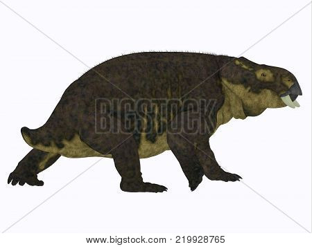Placerias Dinosaur Tail 3D illustration - Placerias was a herbivorous dicynodont dinosaur that lived in Arizona, USA in the Triassic Period.