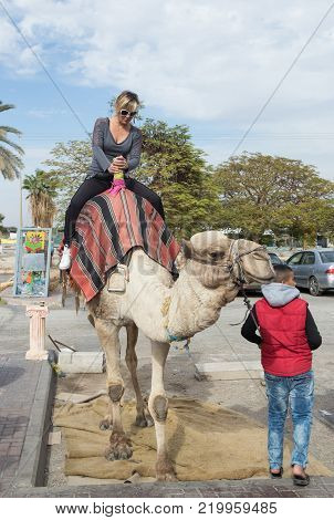 Yeriho, Israel, November 25, 2017 : The camel's driver rolls a visitor on a camel in Yeriho in Israel