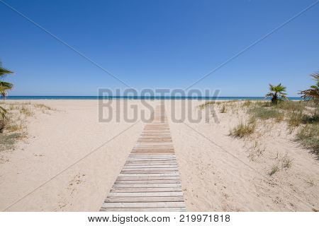 Access To Benicassim Beach With Palm And Stairs Horizontal