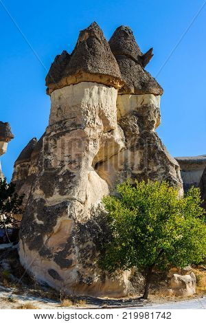 Cappadocia, Turkey. Fairy Chimney. Multihead Stone Mushrooms In The Valley Of The Monks. Pasabag Val