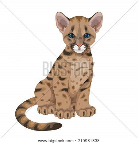 Little spotted puma  with blue eyes.Young American mountain lion isolated on white. Cougar cub vector flat illustration.