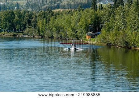 Denali National Park - Alaska