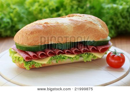 Salami Sandwich