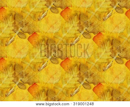 Botanical Print With Leaf Prints On Natural Silk. Hand-drawn Illustration.2