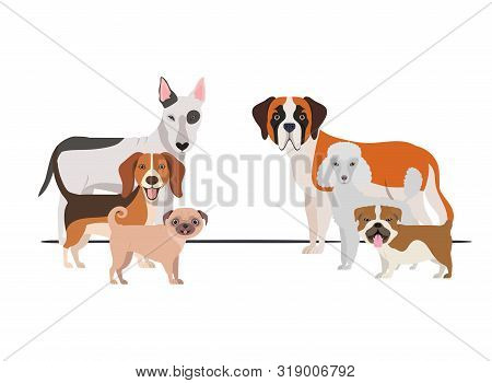Set Of Adorable Dogs On White Background Vector Illustration Design