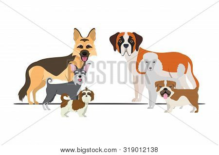 Set Of Adorable Dogs On White Background Vector Illustration Design