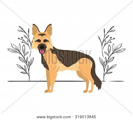 Cute Pastor Aleman Dog On White Background Vector Illustration Design