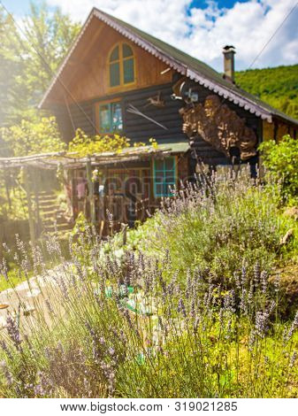 luxury family wooden  cotage house in forest with garden and colorful herbs