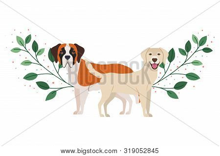 Cute And Adorable Dogs On White Background Vector Illustration Design
