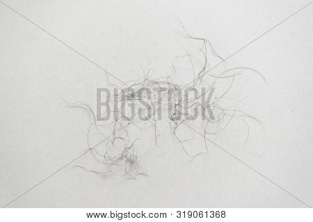 Pubic Hair Fall On Bedroom Floor