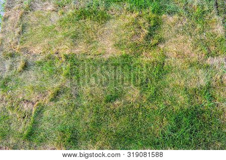 Lawn Briquettes With Dying Grass. Texture Of Dying Lawn With Healthy Green Grass And Dead Dry Grass