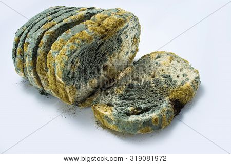Bread - Old And Moldy Sliced, Isolated On White Background.