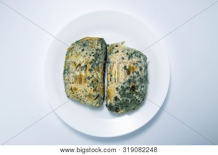 Bread - Old And Moldy Sliced, Isolated On White Background.