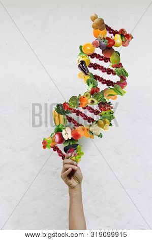 Nutrition Genetics Nutrigenomics Concept Dna Made Of Fresh Veggies And Fruits