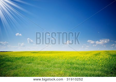 Fine Rapefield og Cloudscape.