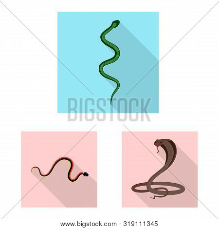 Vector Design Of Skin And Reptile Icon. Collection Of Skin And Danger Stock Symbol For Web.