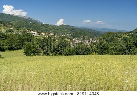 Panoramic View Of Piazza Al Serchio, Lucca, Tuscany, Italy, At Springtime