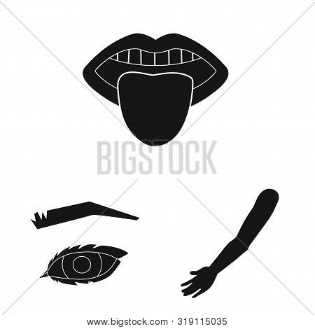 Isolated Object Of Body And Part Logo. Collection Of Body And Anatomy Stock Symbol For Web.