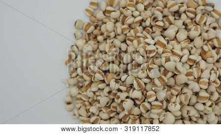 Job's Tears, Also Known As Adlay And Coix On White Background. Popular In Asian Cultures As A Food S